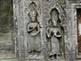 aTPRM005