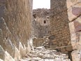 z_hajyara03