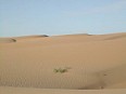 desert09