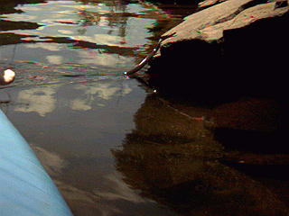 �����E�{�V�钬